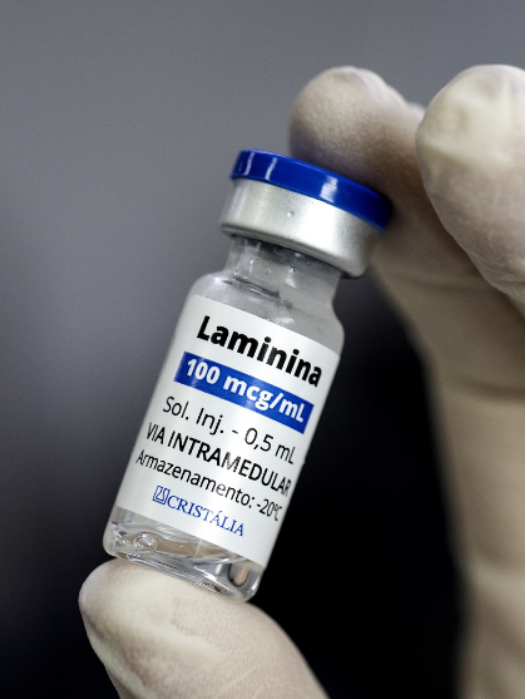 Tetraplégicos podem voltar a andar com descoberta de cientista brasileira 6 Mão com luva branca descartável segurando um frasco de vidro de Laminina. O rótulo detalha a dosagem de 100 mcg/mL, solução injetável de 0,5 mL via intramedular, com logomarca da Cristália e indicação de temperatura de -20°C.