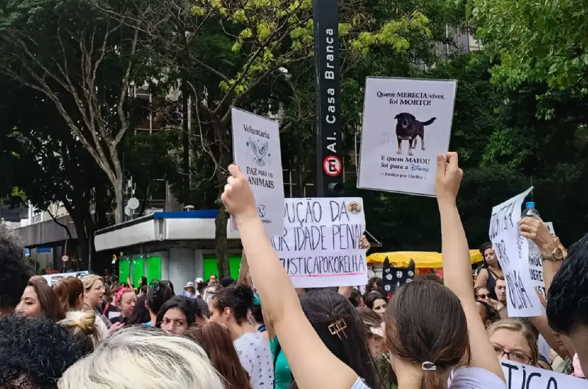 Manifestantes segurando cartazes em protesto pela morte do cão Orelha em Florianópolis.