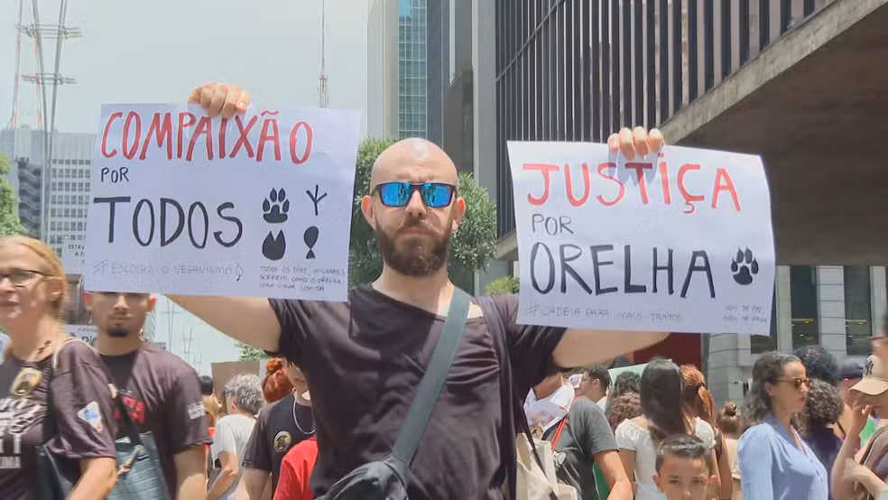 Morte do cão Orelha: entenda os fatos até agora 6 Um homem de barba e óculos escuros segura dois cartazes em um protesto na Avenida Paulista. No cartaz da esquerda lê-se "Compaixão por todos" e no da direita "Justiça por Orelha", ambos com desenhos de patas de animais. Ao fundo, outras pessoas participam da manifestação sob o sol.