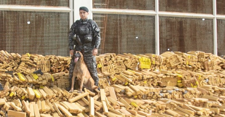 Polícia Militar apreende quase 50 toneladas de maconha nesta quarta (08); imagens surpreendem 6 Policial militar fardado com boina ao lado de cão farejador sobre montanha de milhares de tabletes de maconha apreendidos