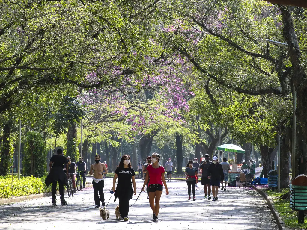 Rotina de domingo: hábitos simples que melhoram o sono para a semana 6 Grupo de pessoas caminhando, correndo e passeando com cães em alameda arborizada sob árvores floridas
